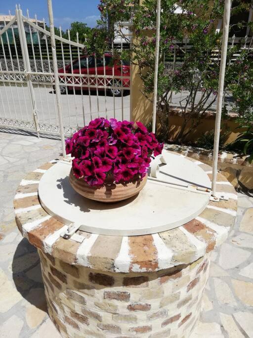 Sunny Stay Furnished Apartment In Kanoni Exterior photo